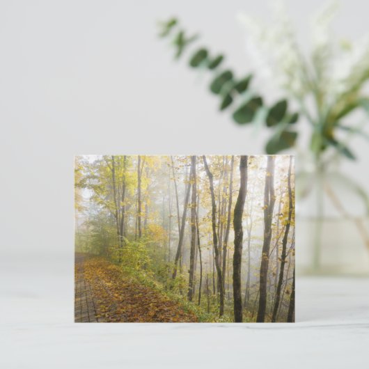 Dreamy autumn park ポストカード (スタンド正面)