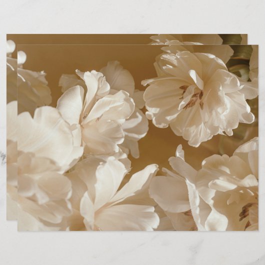Dreamy beige floral Elegant Scrapbook Paper (正面/裏面)