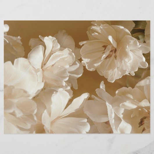 Dreamy beige floral Elegant Scrapbook Paper (裏面)