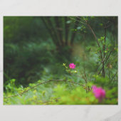 Dreamy forest flower Scrapbook Paper (正面)