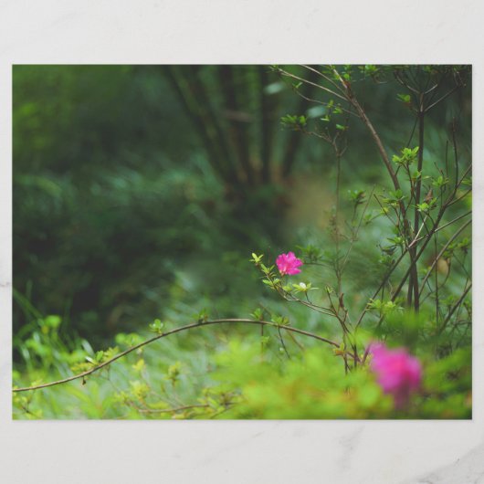 Dreamy forest flower Scrapbook Paper (正面)