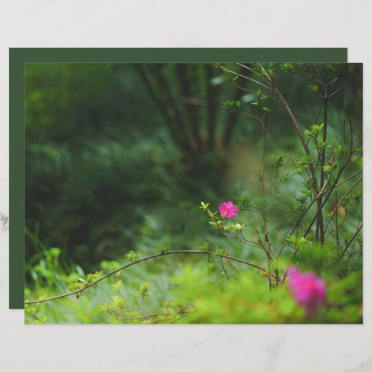 Dreamy forest flower Scrapbook Paper (正面/裏面)