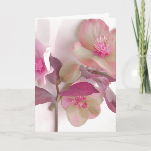 Dreamy Hellebores Paper Placemat サンキューカード (正面)