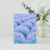 Dreamy Lavender Fields Aesthetic Purple Blue  ポストカード (スタンド正面)