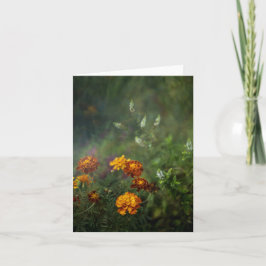 Dreamy marigold fine art photo カード
