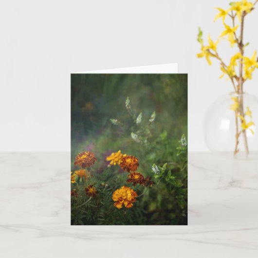 Dreamy marigold fine art photo カード (黄色い花)