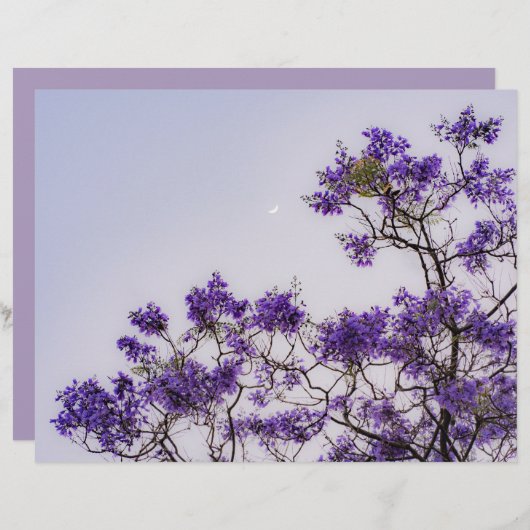 Dreamy pastel spring tree Scrapbook Paper (正面/裏面)