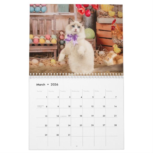 Dreamy Ragdoll Cats and Kittens Calendar カレンダー (3月 2026)