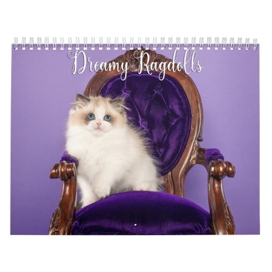 Dreamy Ragdoll Cats and Kittens Calendar カレンダー (カバー)