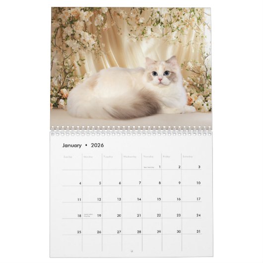 Dreamy Ragdoll Cats and Kittens Calendar カレンダー (1月 2026)