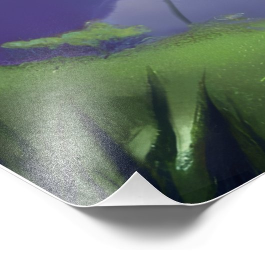 Dreamy Starry Night フォトプリント (角)