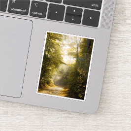 Dreamy sunlit park, nature aesthetic art photo シール