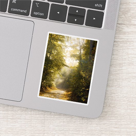 Dreamy sunlit park, nature aesthetic art photo シール (詳細)