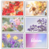 Dreamy vibrant spring floral sticker set sheet シール (正面)