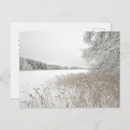 Dreamy winter lake, New Year シーズンポストカード (正面/裏面)