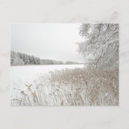 Dreamy winter lake, New Year シーズンポストカード