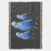 drei blaue Wellensittiche スローブランケット (正面縦)