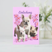 Drei Französische Bulldoggen Danke French Bulldog 招待状 (スタンド正面)