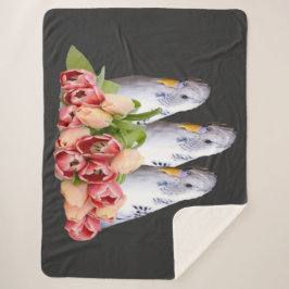 drei niedliche weisse Wellensittiche シェルパブランケット