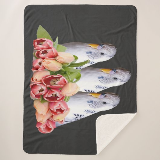 drei niedliche weisse Wellensittiche シェルパブランケット (正面)