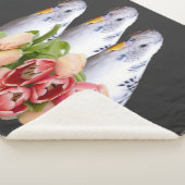 drei niedliche weisse Wellensittiche シェルパブランケット (3/4)