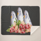 drei niedliche weisse Wellensittiche シェルパブランケット (正面(横))