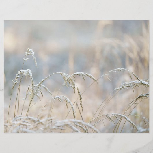 Dremy Winter Nature Scrapbook paper (正面)