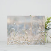 Dremy Winter Nature Scrapbook paper (スタンド正面)