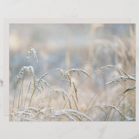 Dremy Winter Nature Scrapbook paper (正面/裏面)