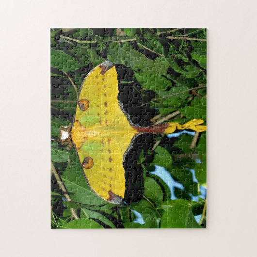 Drexel Butterfly。 ジグソーパズル (縦)