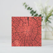 Dried Tree Log Cutaway Pinkish Red Wood Photo カード (スタンド正面)