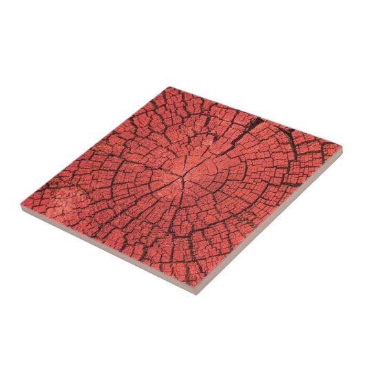 Dried Tree Log Cutaway Pinkish Red Wood Photo タイル (側面)