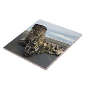 Driftwood at Bensonビーチ, Cape Mission, WA タイル (側面)