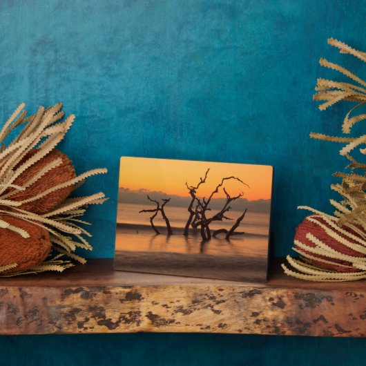 Driftwood Beach at Sunrise Jekyll Island Georgia フォトプラーク (側面)