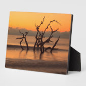 Driftwood Beach at Sunrise Jekyll Island Georgia フォトプラーク (側面)