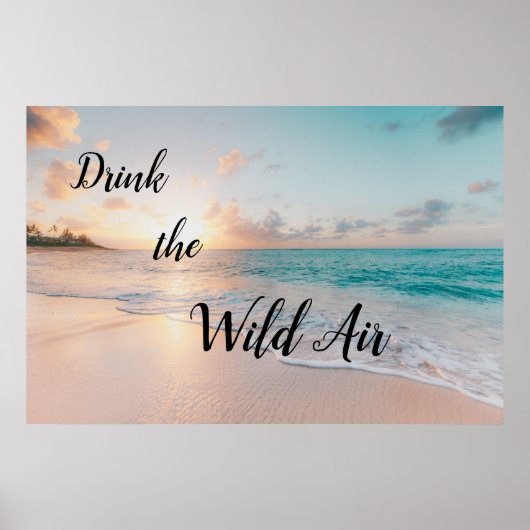Drink the Wild Air Poster ポスター (正面)