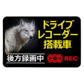 DRIVE RECORDER Warning Plate(WOLF) マグネット (横)