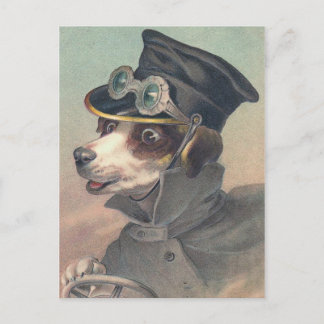 "Driver Dog"ヴィンテージイラストレーション ポストカード