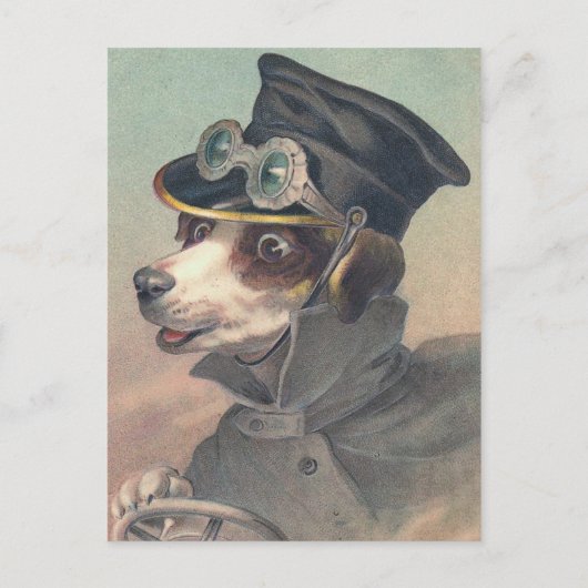 "Driver Dog"ヴィンテージイラストレーション ポストカード (正面)