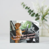 Driver’s License Congratulations Postcard ポストカード (スタンド正面)