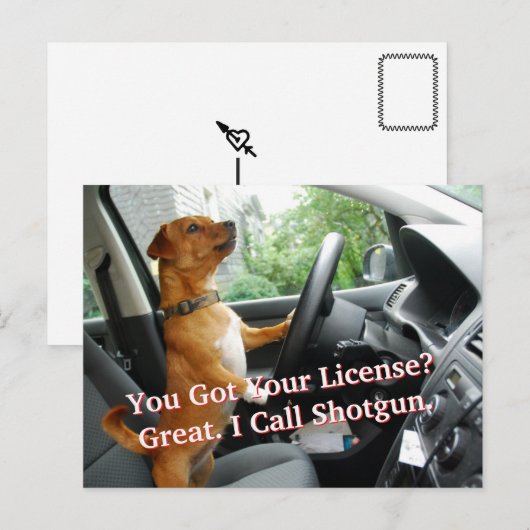 Driver’s License Congratulations Postcard ポストカード (正面/裏面)