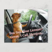 Driver’s License Congratulations Postcard ポストカード (正面)