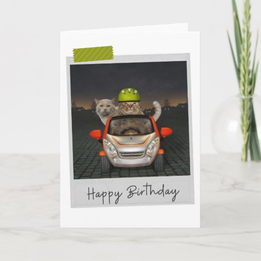 Driving Cats Funny Birthday Card カード (正面)