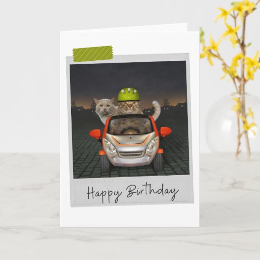Driving Cats Funny Birthday Card カード (黄色い花)