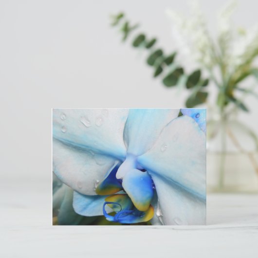 Drops on Blue Orchid – はがき (スタンド正面)