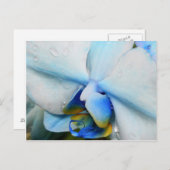 Drops on Blue Orchid – はがき (正面/裏面)