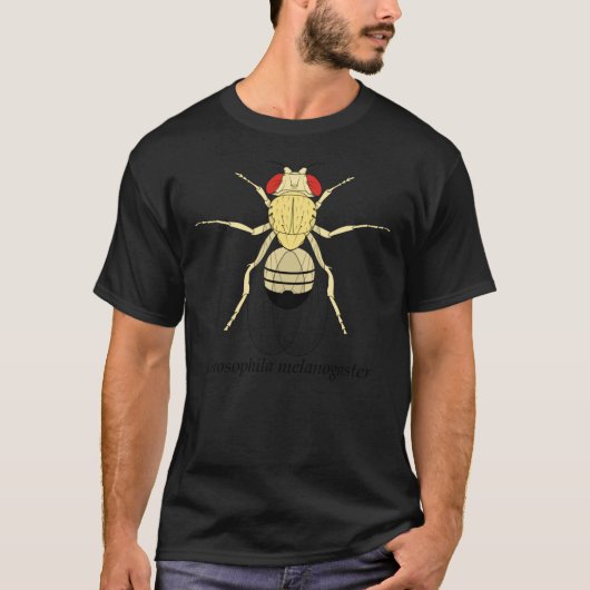 Drosophila melanogaster Classic T-Shirt Tシャツ (正面)