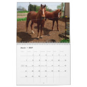 "Drummondの島" 2018のカレンダーのClifford カレンダー (3月 2027)