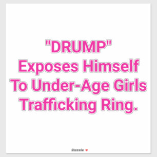 Drump Exposes Himself To Girl Hankamer Artjunkhaus シール
