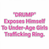 Drump Exposes Himself To Girl Hankamer Artjunkhaus シール (正面)